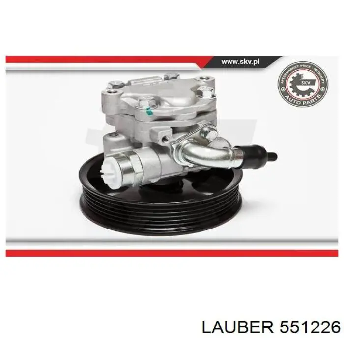 Насос ГУР 2S6C3A696DCES Ford
