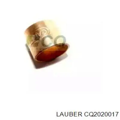 Втулка стартера Citroen Jumper (250) (Сітроен Джампер)