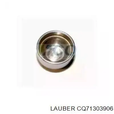 CQ71303906 Lauber поршень супорту гальмівного, заднього