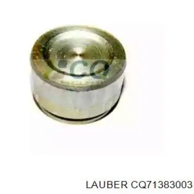 Поршень гальмівного супорта заднього Quick Brake 185124K ціна, від 3.31 USD