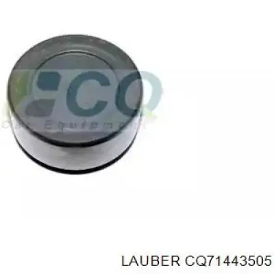 Купити RK83030 Goodrem Поршень супорту гальмівного, переднього