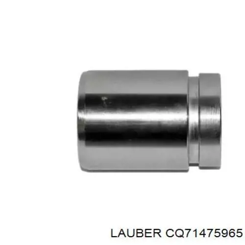 Купити D025467 Autofren Поршень супорту гальмівного, переднього