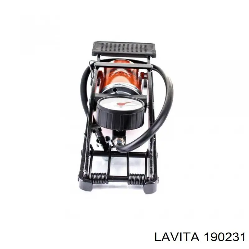  190231 Lavita