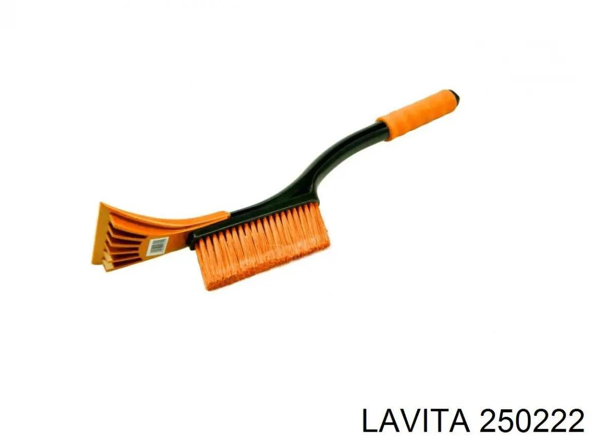  250222 Lavita