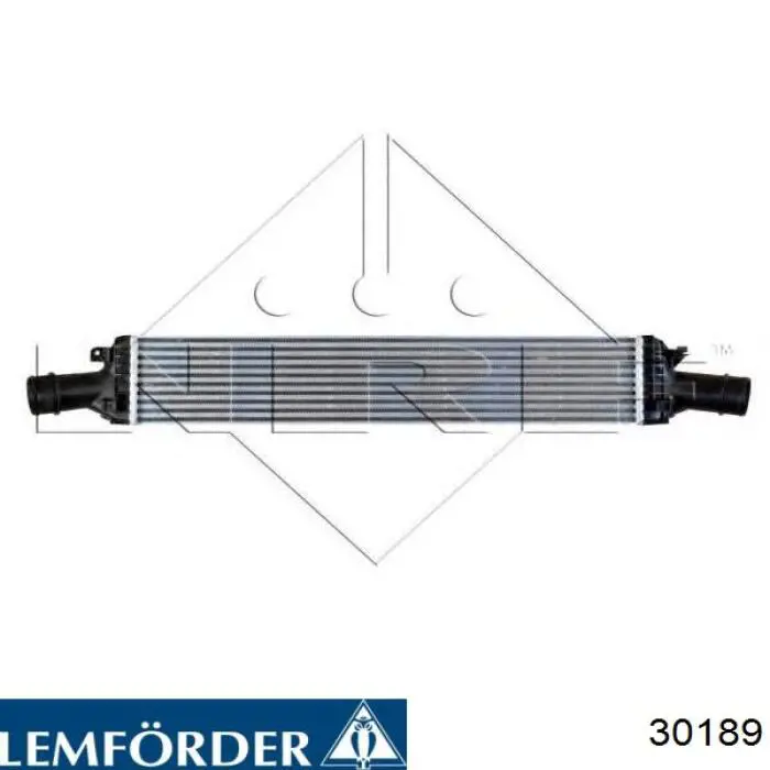 30189 Lemforder пильник рульового механізму/рейки