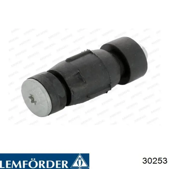 30253 Lemforder Пильник рульової