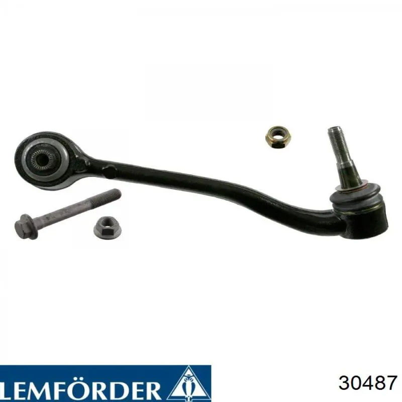 Важіль передньої підвіски нижній, правий Lemforder 30487 ціна, від 48.45 USD