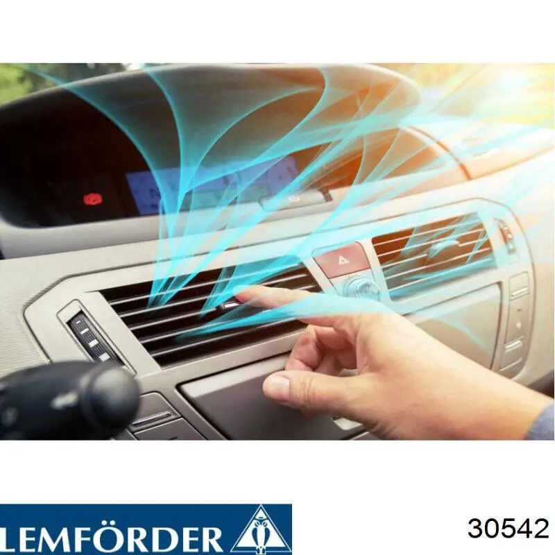 30542 Lemforder Права подушка мотора