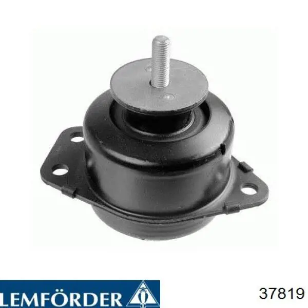 Купити 81432206388 MAN Важіль/тяга задньої підвіски подовжній нижній, лівий/правий