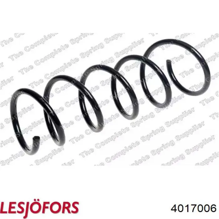 Пружина передня Renault (RVI) 540107794R ціна, від 33.80 USD
