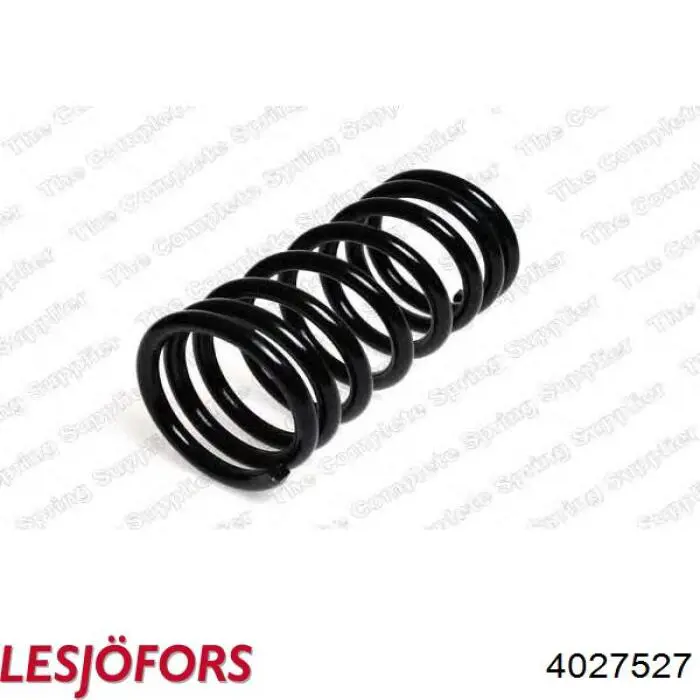 Пружина передня Raiso SF200TP ціна, від 12.74 USD