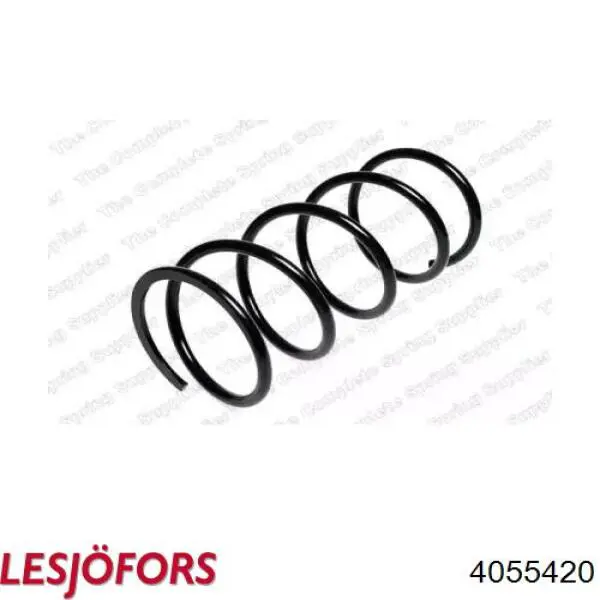 Купити 4055420 Lesjofors Гвинтова пружина підвіска