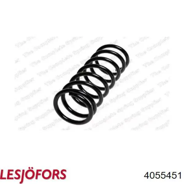 Купити 4055451 Lesjofors Гвинтова пружина підвіска