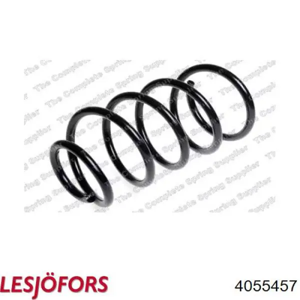Купити 4055457 Lesjofors Гвинтова пружина підвіска