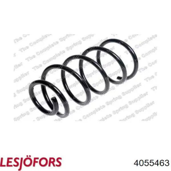 Купити 4055463 Lesjofors Гвинтова пружина підвіска