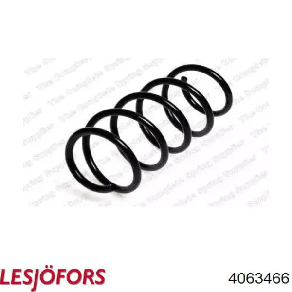 Купити 4063466 Lesjofors Гвинтова пружина підвіска
