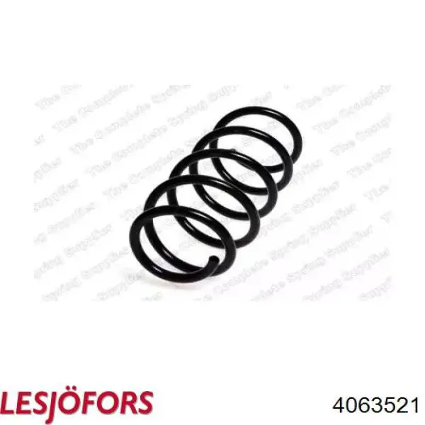 Купити 4063521 Lesjofors Гвинтова пружина підвіска