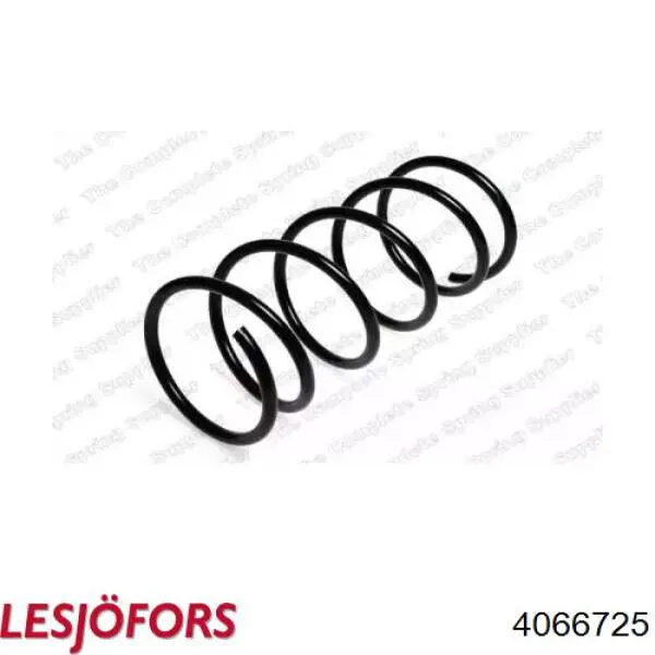 Купити 4066725 Lesjofors Гвинтова пружина підвіска