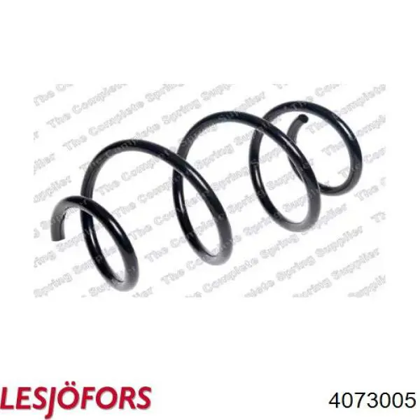 Купити 540107005R Renault (RVI) Гвинтова пружина підвіска