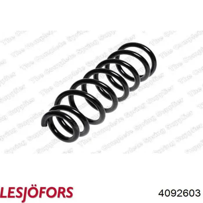 Пружина передня ZC3183G Japan Parts