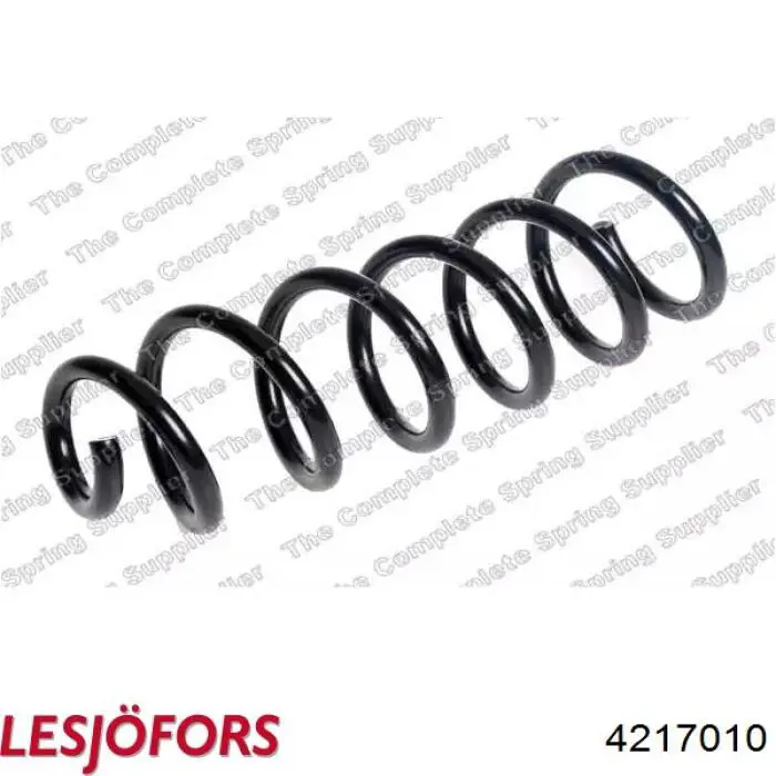 Пружина задня Renault (RVI) 550207022R ціна, від 40.87 USD