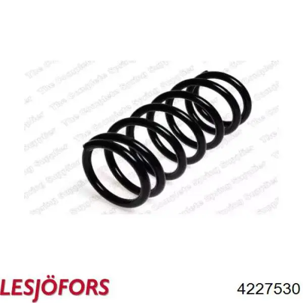 Купити 6143581 Ford Задні пружини