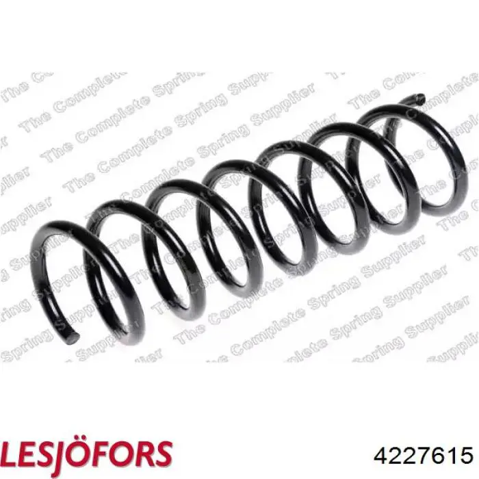 Пружина задня CS Germany 14504214 ціна, від 29.62 USD