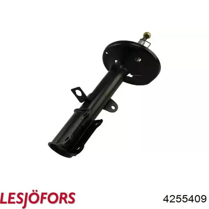 Купити 4255409 Lesjofors Задні пружини