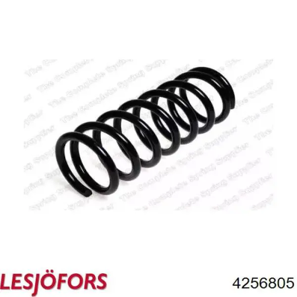 Купити 4256805 Lesjofors Задні пружини