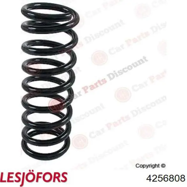 Пружина задня Mercedes A1403241504 ціна, від 47.48 USD