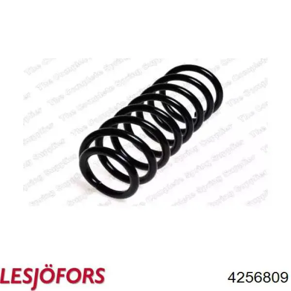 Купити 4256809 Lesjofors Задні пружини