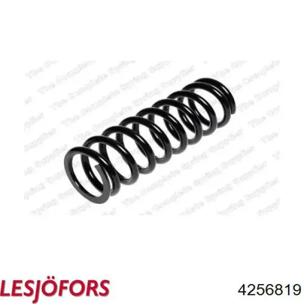 Купити 4256819 Lesjofors Задні пружини