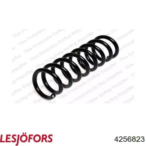 Купити 4256823 Lesjofors Задні пружини