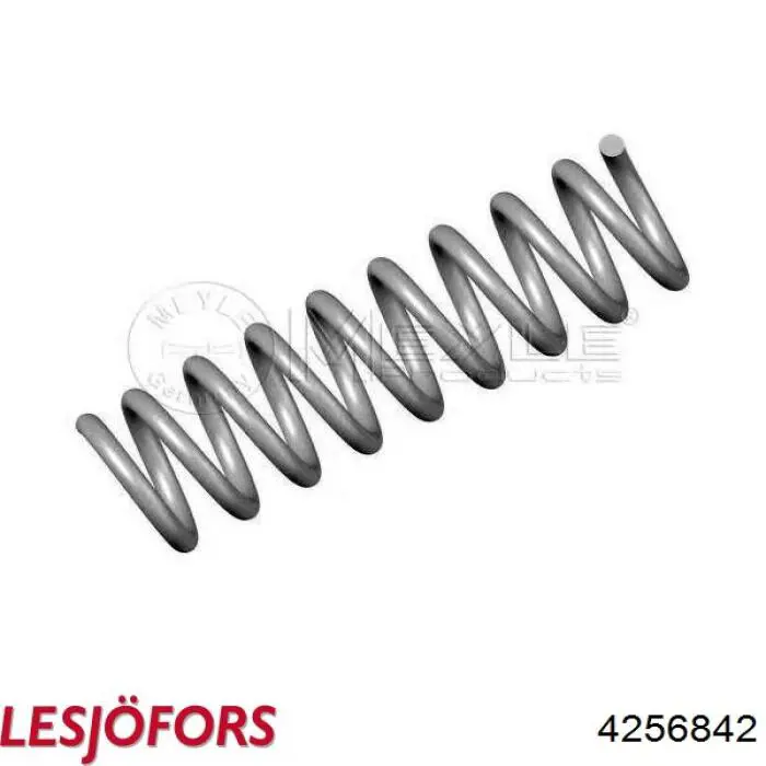 Задні пружини 4256842 Lesjofors