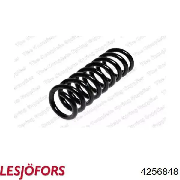 Купити A2023243004 Mercedes Задні пружини