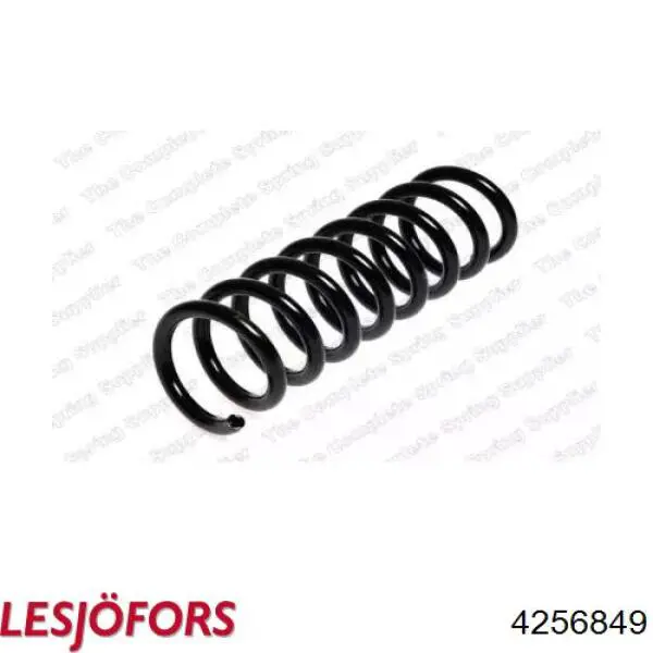 Купити 4256849 Lesjofors Задні пружини