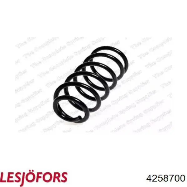 Купити 4258700 Lesjofors Задні пружини