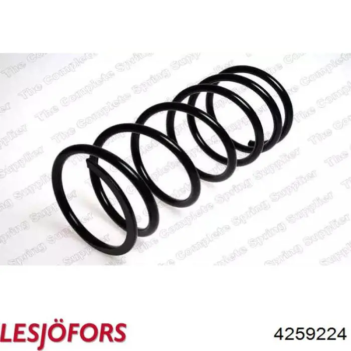 Купити 4259224 Lesjofors Задні пружини