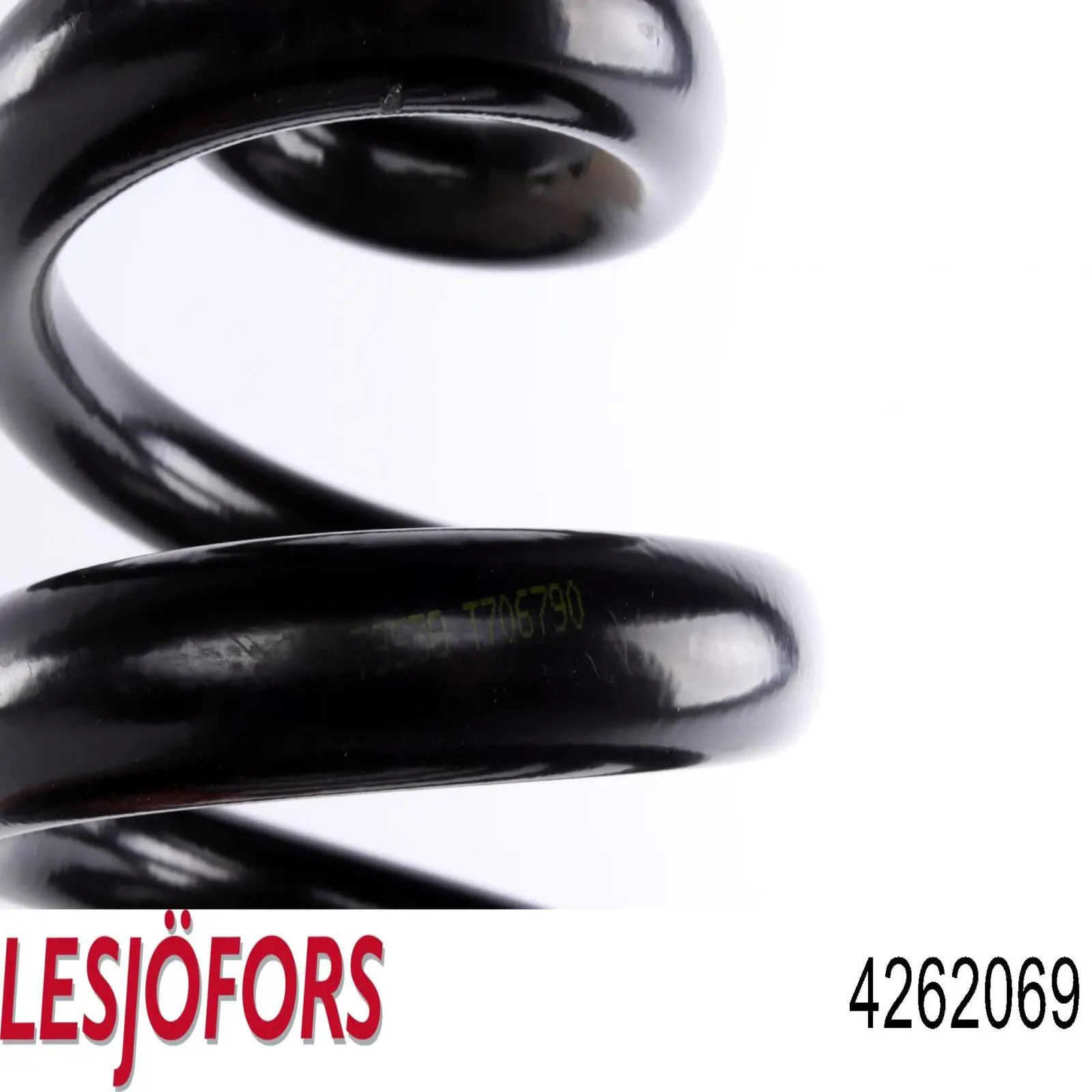 Купити 4262069 Lesjofors Задні пружини