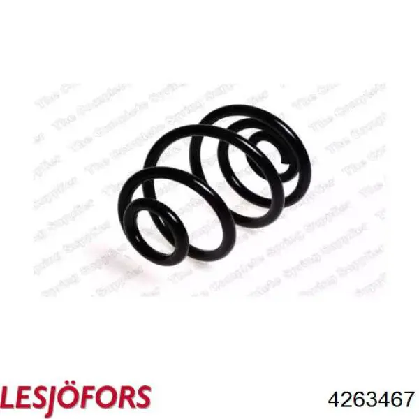 Купити 4263467 Lesjofors Задні пружини
