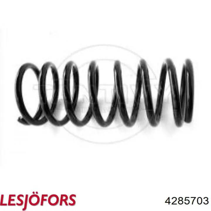 Купити 4285703 Lesjofors Задні пружини