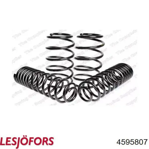  Lesjofors 4595807 ціна, від 162.54 USD