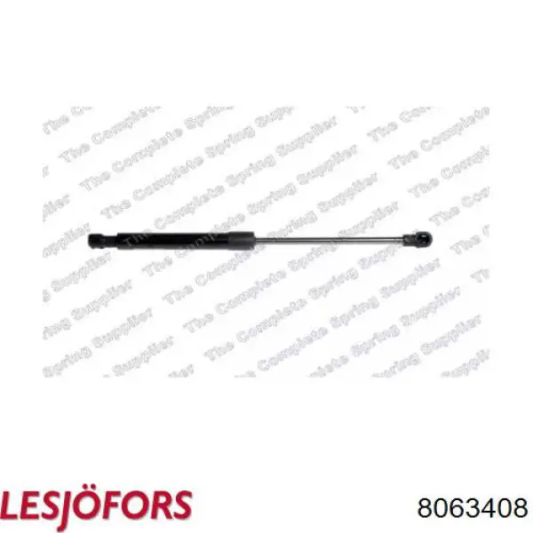 Амортизатор капота газовий Renault (RVI) 654706643R ціна, від 10.27 USD