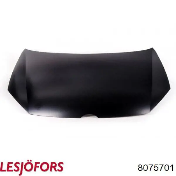 Купити 8075701 Lesjofors Амортизатор під капот