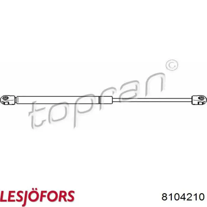Амортизатор двері задньої Lesjofors 8104210 ціна, від 9.68 USD