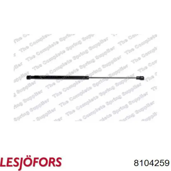 Амортизатор двері задньої Lesjofors 8104259 ціна, від 8.81 USD