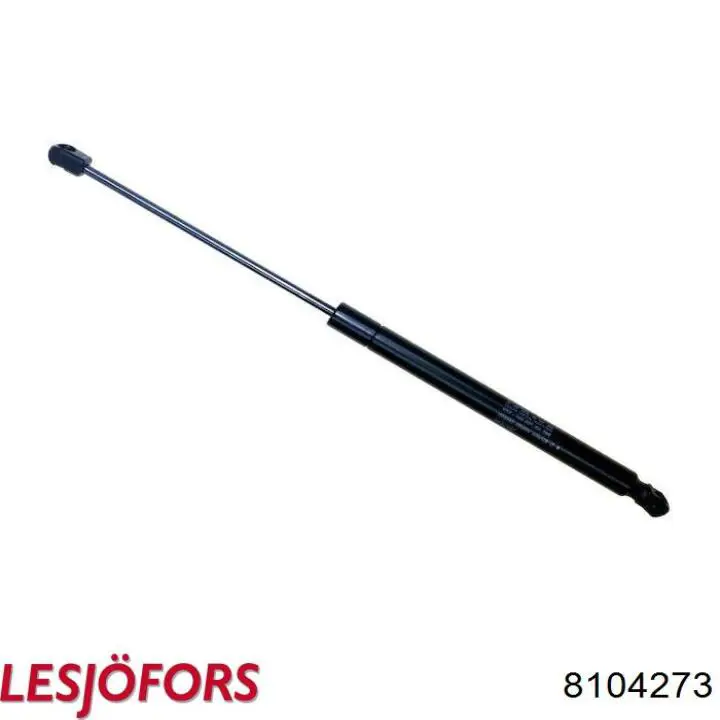Амортизатор двері задньої Lesjofors 8104273 ціна, від 12.71 USD