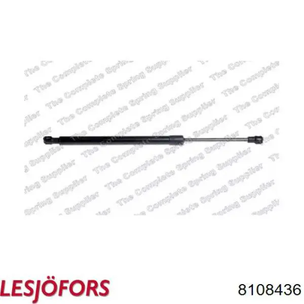 Амортизатор двері задньої Stabilus 434042 ціна, від 14.24 USD