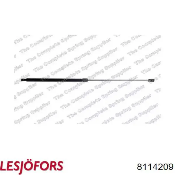 Купити ZSW0013 Japan Parts Амортизатор двері багажника
