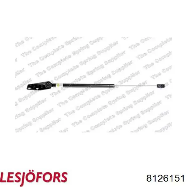 Амортизатор двері задньої Lesjofors 8126151 ціна, від 12.67 USD